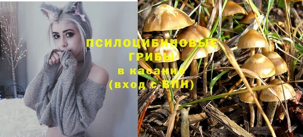 скорость Аркадак