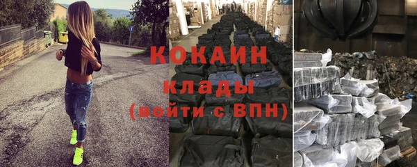 кокс Арсеньев