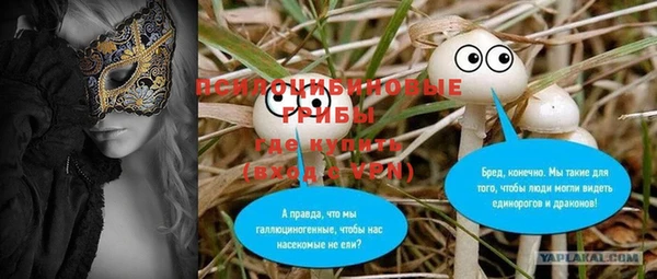 кокс Арсеньев