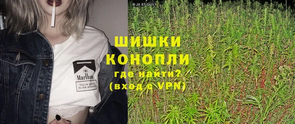 кокс Арсеньев