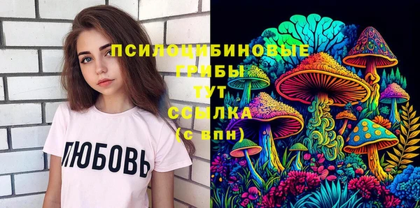спиды Алзамай