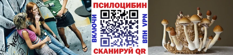 Псилоцибиновые грибы прущие грибы Спасск-Дальний