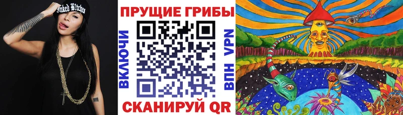 shop клад  Спасск-Дальний  Псилоцибиновые грибы GOLDEN TEACHER 
